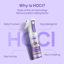 HICC Pet® 2X Power Pet Wound & Antimicrobial Spray For Cats, 10.1 Fl Oz