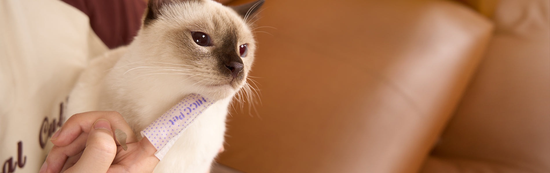 HICC PET®Cat Acne Finger Wipes Pro Series