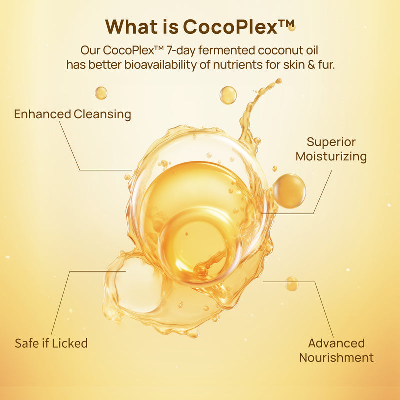 HICC Pet® Hypoallergenic Pet Eye Wipes For Dogs, Bundle of 2