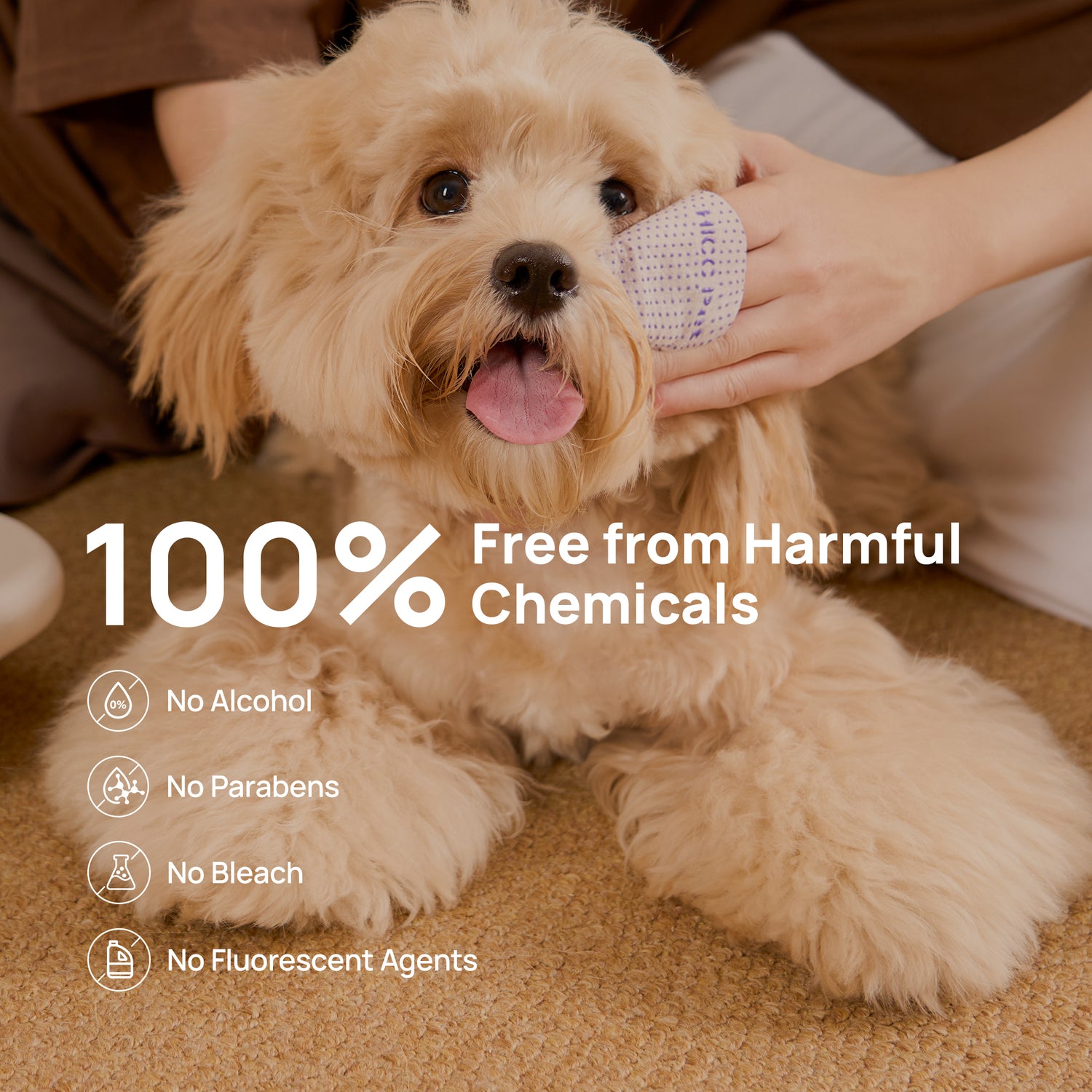 PRO Series Tear Stain Wipes for Dogs & Cats