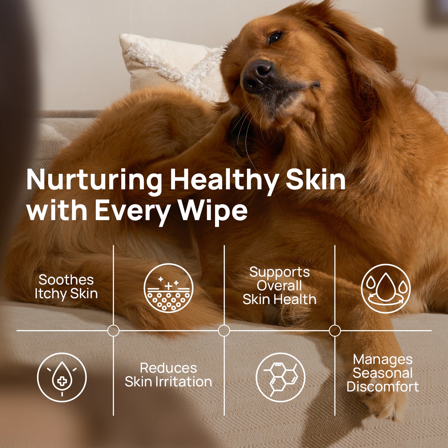 Itch Relief Skin Soothing Wipes for Dogs & Cats