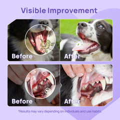 Oral Care Dental Spray for Dogs & Cats