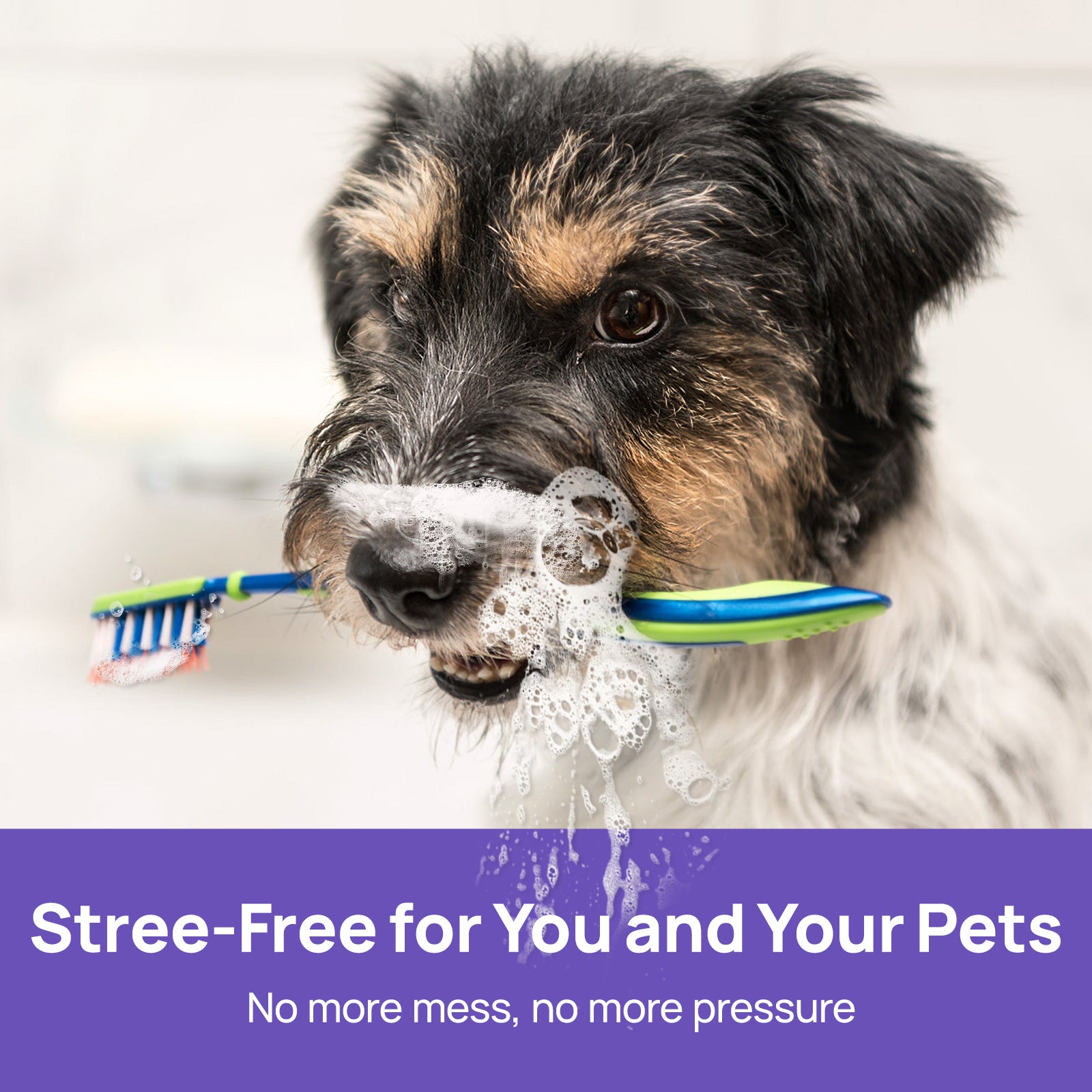 Oral Care Dental Spray for Dogs & Cats