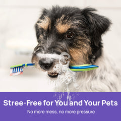 Oral Care Dental Spray for Dogs & Cats