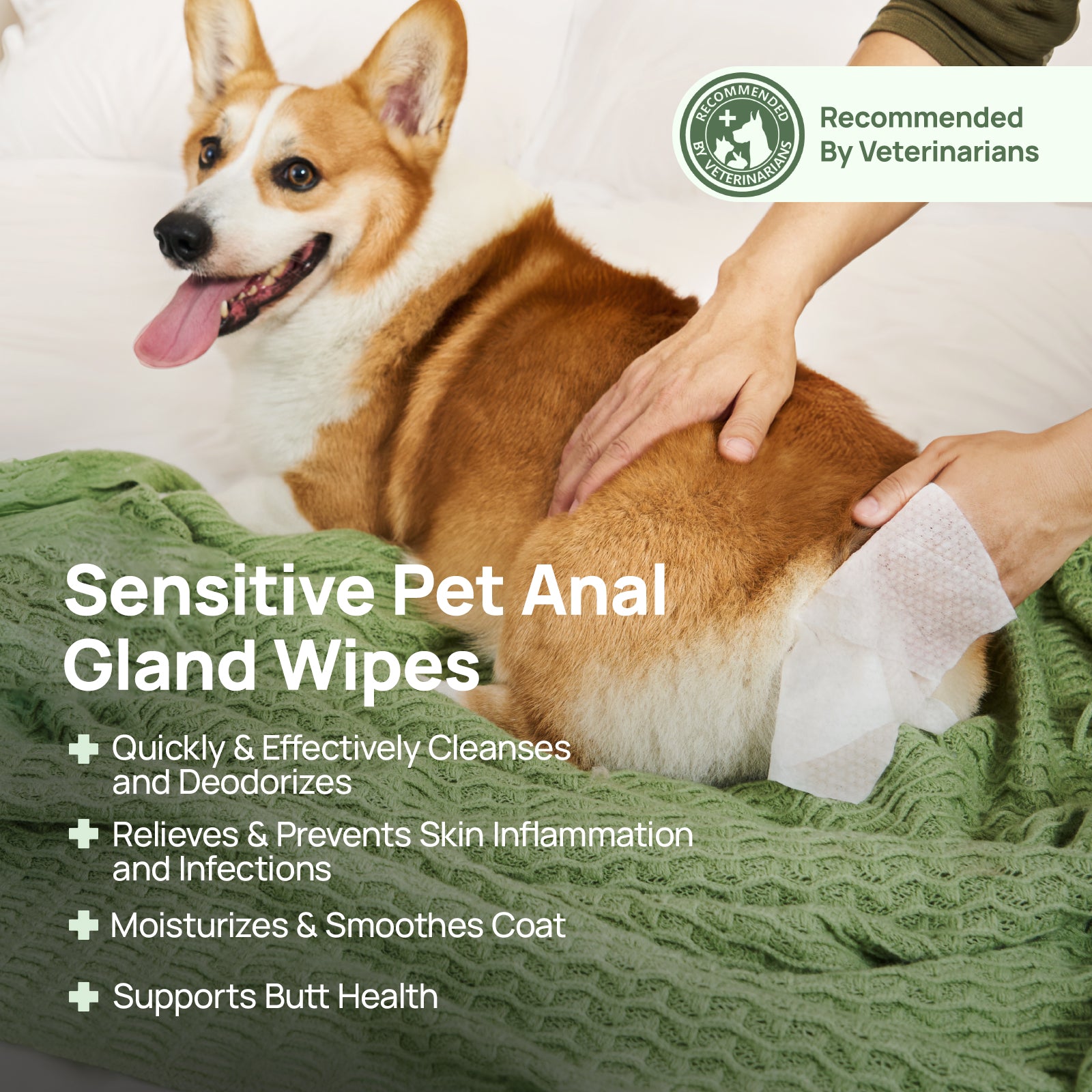 Pet Anal Gland Wipes For Dogs & Cats, Bundle of 4
