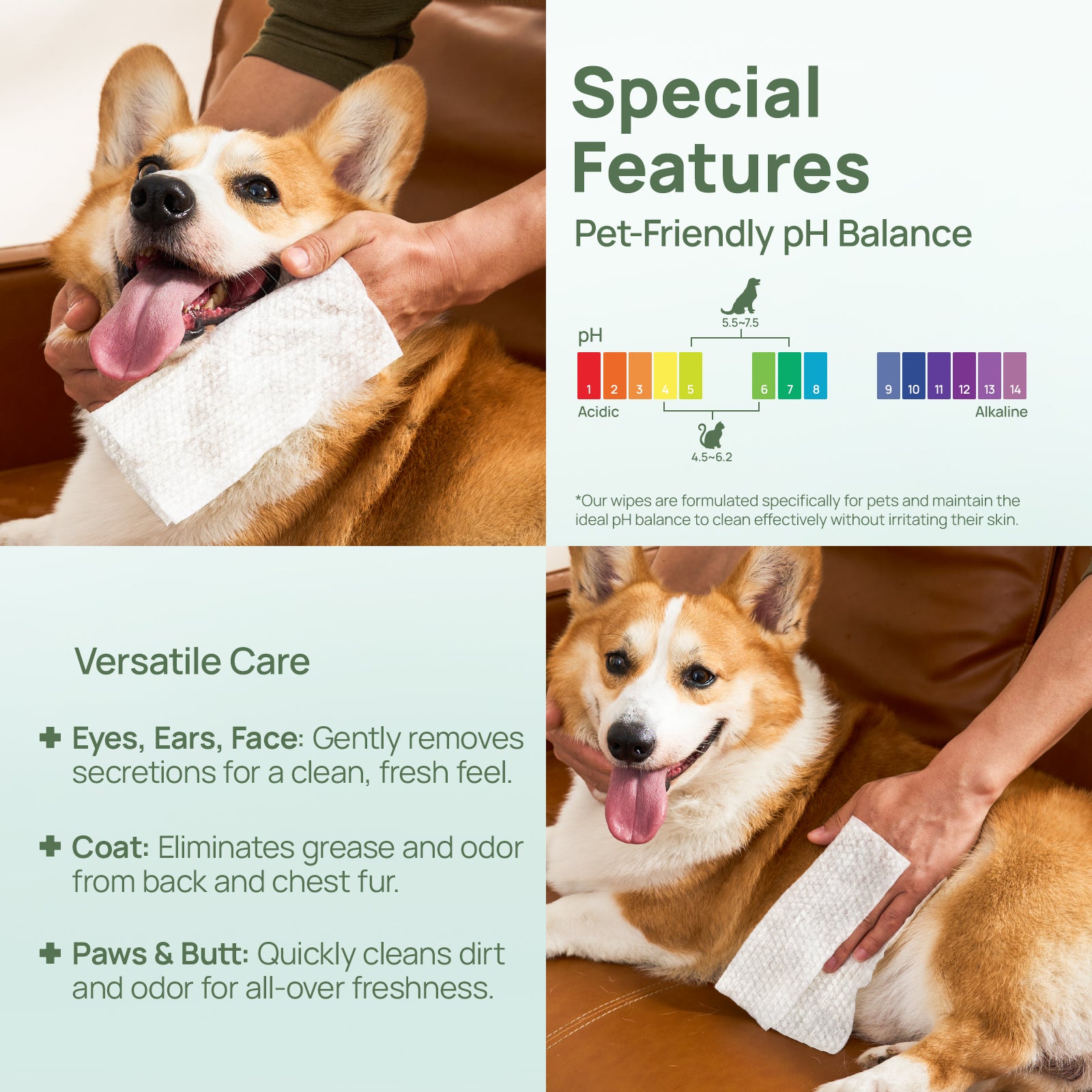 Pet Anal Gland Wipes For Dogs & Cats, Bundle of 4