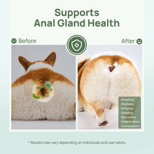 HICC Pet® Pet Anal Gland Wipes For Dogs