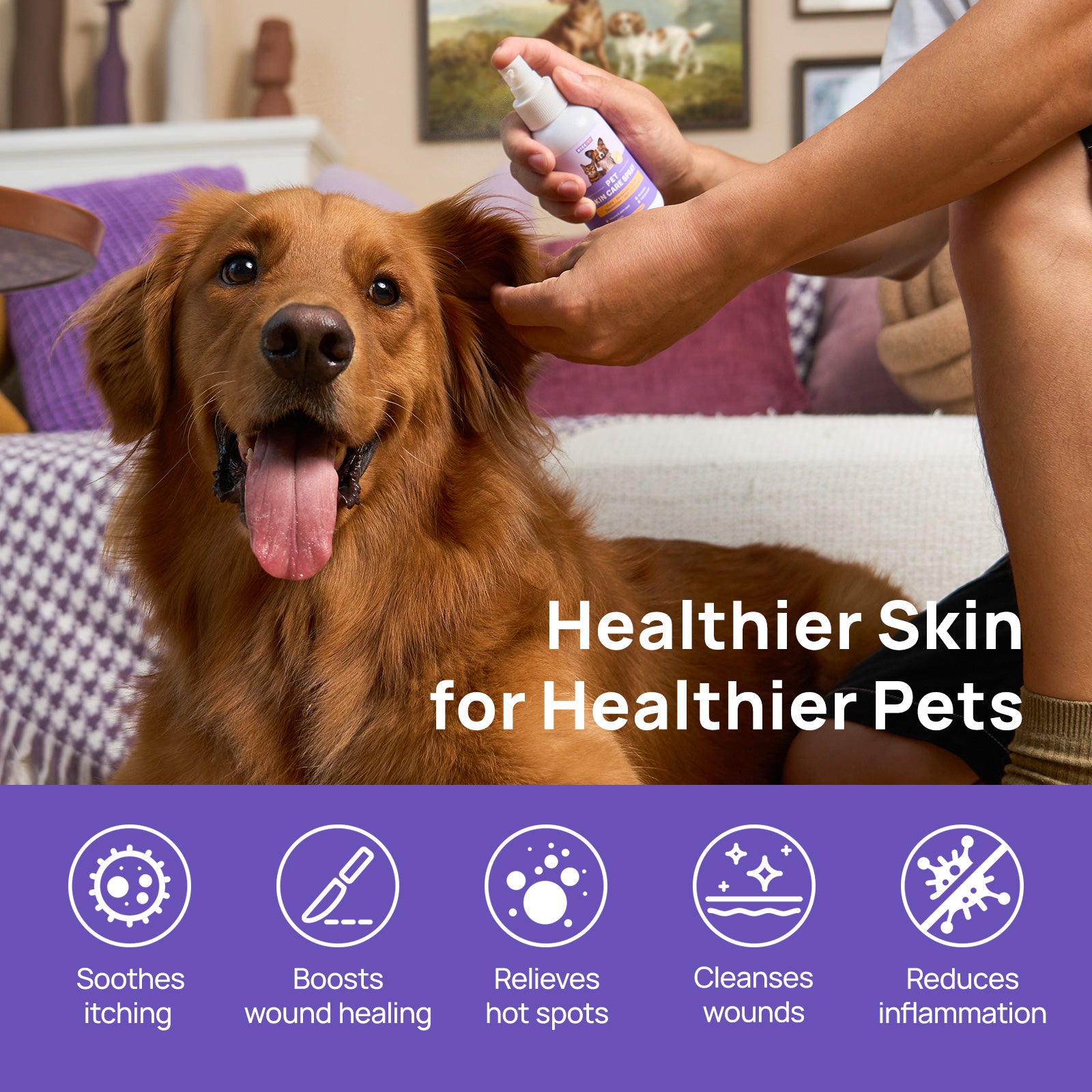 Fast Cooling Skin Comfort & Redness Relief Kit for Dogs & Cats
