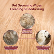 HICC Pet® Plant-Based Pet Wipes For Cats