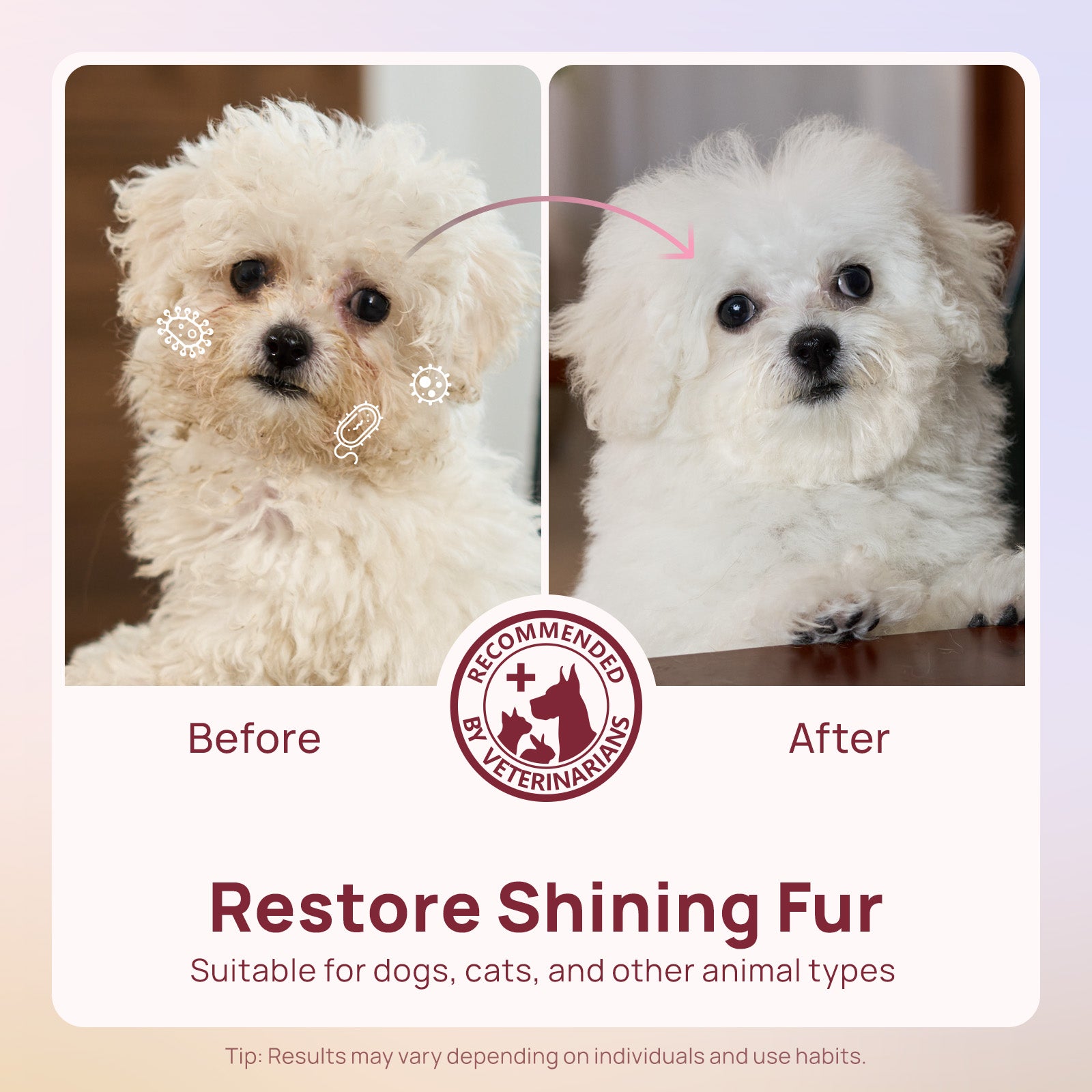 Plant-Based Pet Wipes for Dogs & Cats