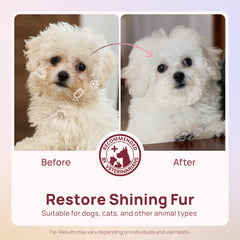 Plant-Based Pet Wipes for Dogs & Cats
