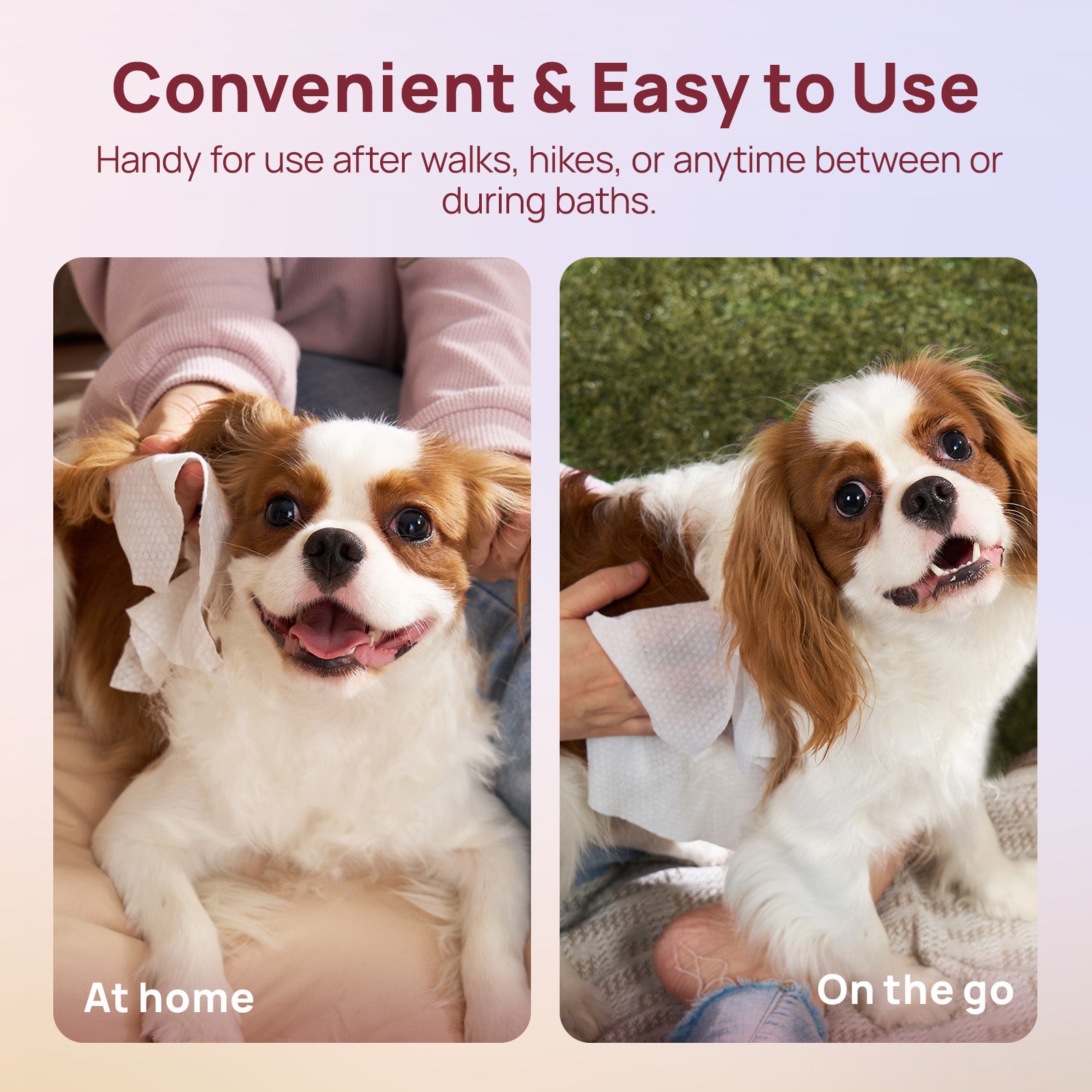 Plant-Based Pet Wipes for Dogs & Cats