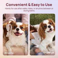 Plant-Based Pet Wipes for Dogs & Cats