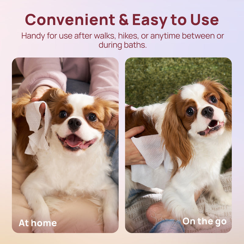 HICC Pet® Plant-Based Pet Wipes For Cats