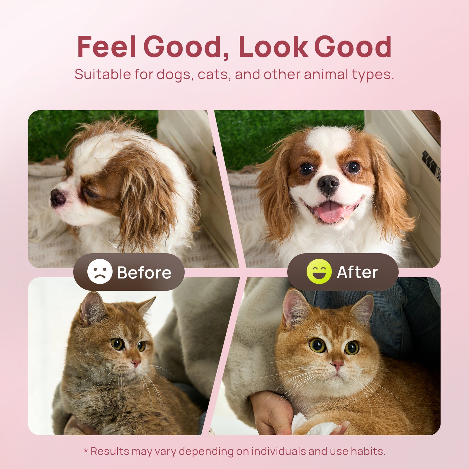 Plant-Based Pet Wipes For Dogs & Cats, Set of 4
