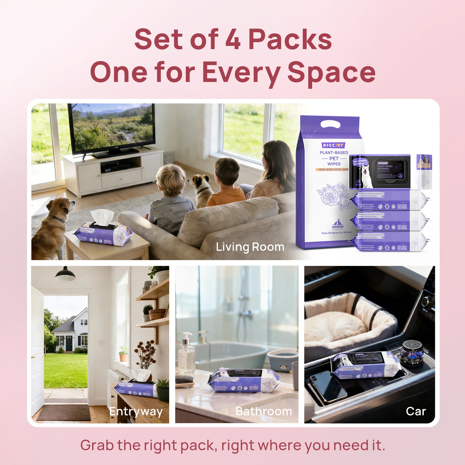 HICC Pet® Plant-Based Pet Wipes For Dogs & Cats, Set of 4