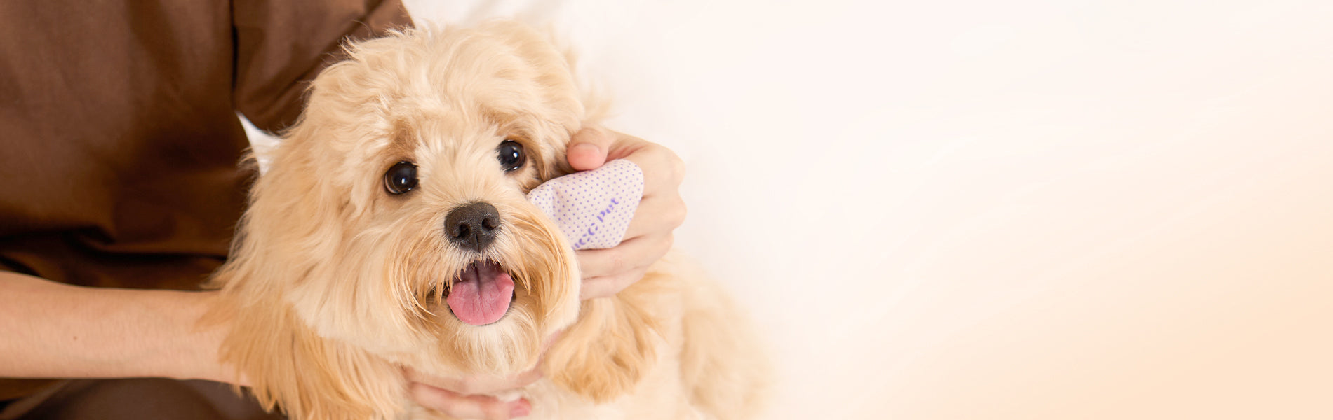 HICC Pet®PRO Eye Wipes for Premium Eye Care
