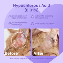 HICC Pet® Pet Skin Care Spray For Cats, 16 Fl Oz