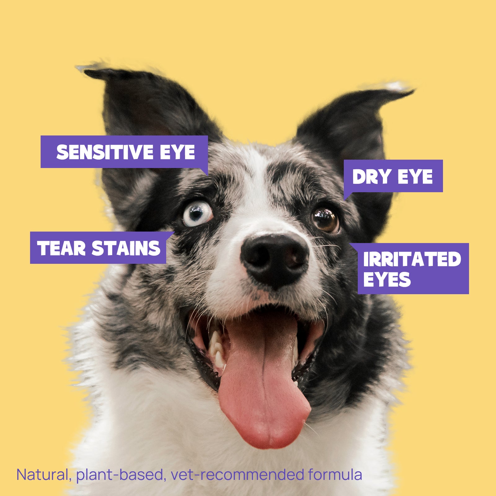 Dog Eye Wipes Tear Stain Remover 100 Pads