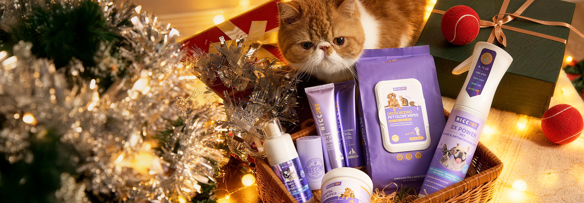 Happy New Year from HICC Pet 🐾