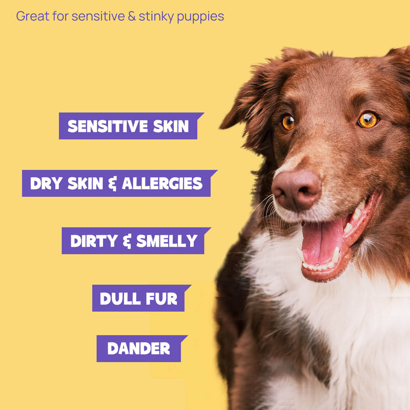 HICC Pet® Hypoallergenic Pet Glove Wipes For Dogs