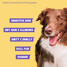 HICC Pet® Hypoallergenic Pet Glove Wipes For Dogs