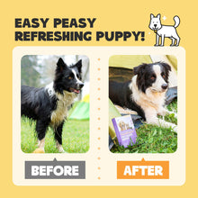 HICC Pet® Hypoallergenic Pet Glove Wipes For Dogs