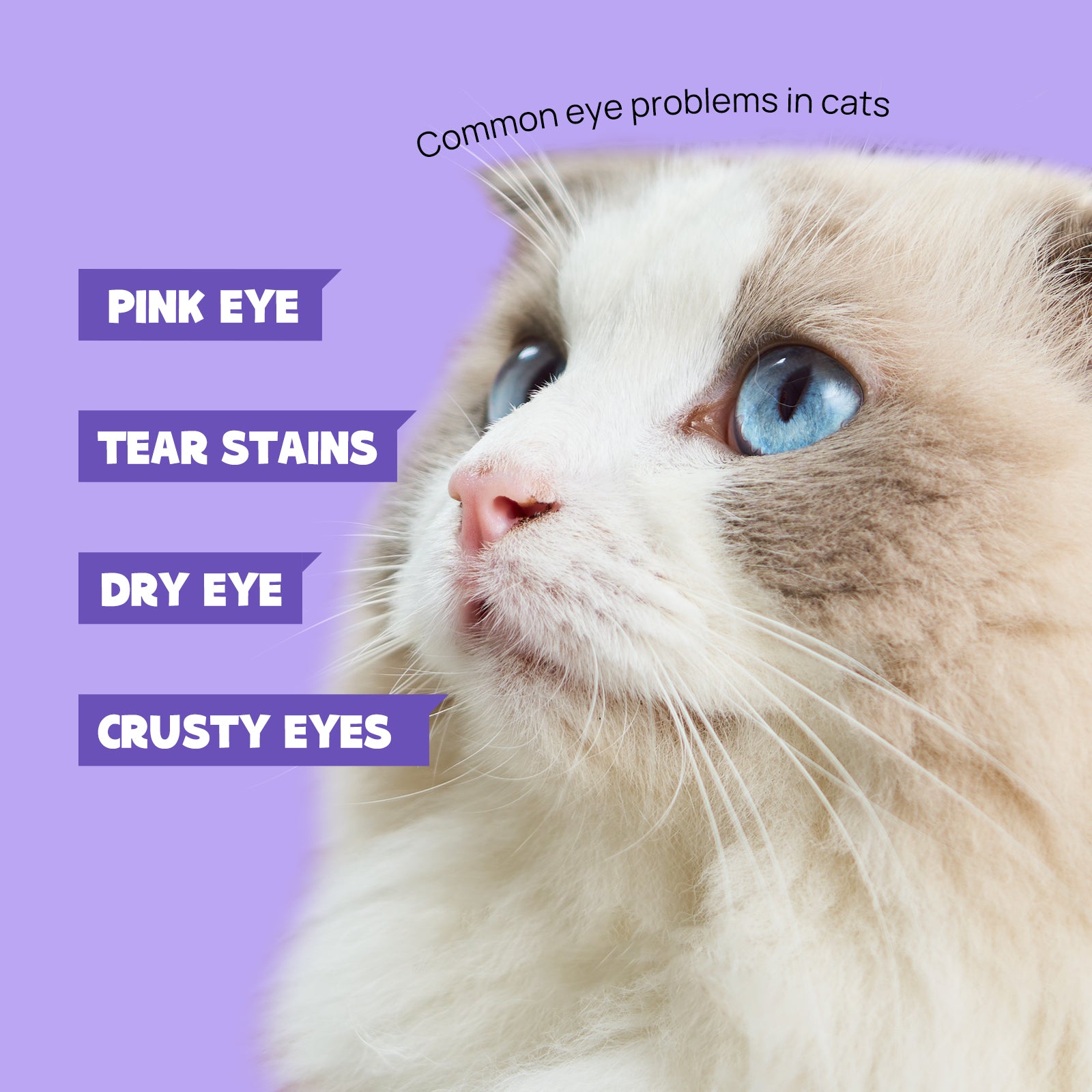 Cat Eye Rinse Gentle Eye Wash
