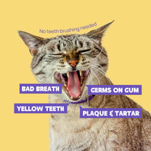 HICC Pet® Pet Dental Finger Wipes For Cats