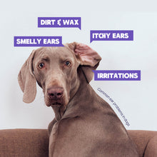 HICC Pet® Anti-itch & Antimicrobial Pet Ear Rinse For Dogs