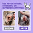 Dog Cleansing Pet Ear Rinse 4 fl oz