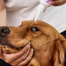 HICC™ Gentle Antimicrobial Pet Eye Rinse For Dogs