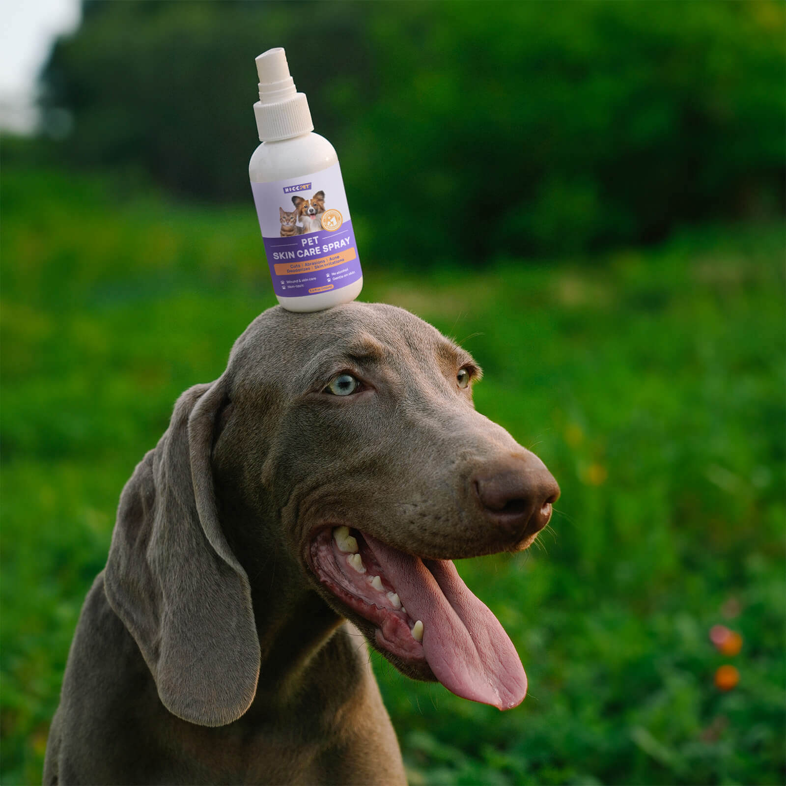 Skin Hydrating & Coat Freshening Spray for Dogs & Cats