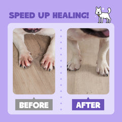 Skin Hydrating & Coat Freshening Spray for Dogs & Cats