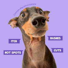 HICC Pet® Pet Skin Care Spray For Dogs, 16 Fl Oz