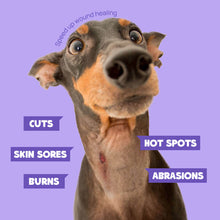 HICC™ 2X Power Pet Wound & Antimicrobial Spray For Dogs, 10.1 Fl Oz