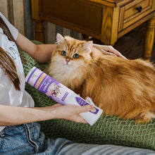 HICC Pet® 2X Power Pet Wound & Antimicrobial Spray For Cats, 10.1 Fl Oz