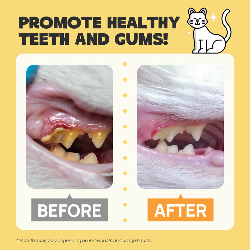 HICC Pet® Pet Dental Finger Wipes For Cats