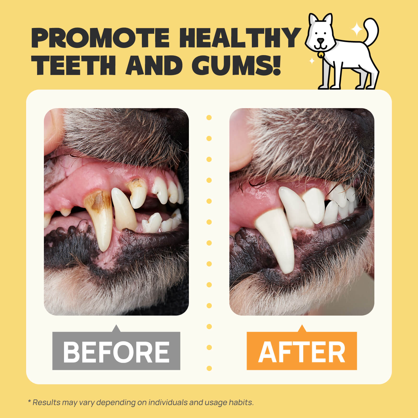 how often should i get my dogs teeth professionally cleaned