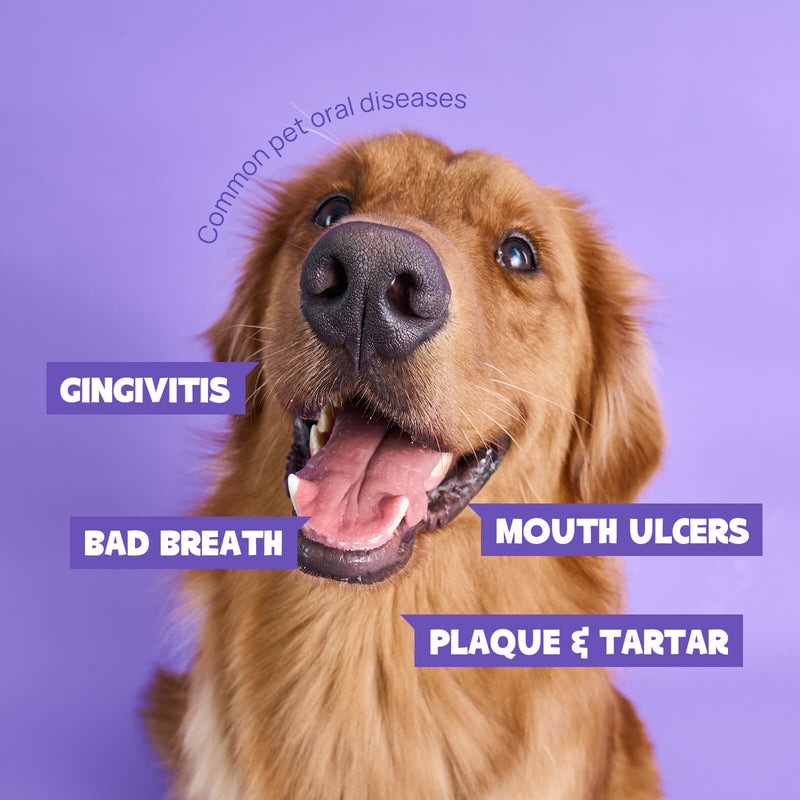 HICC™ Pet Oral Care Spray For Dogs