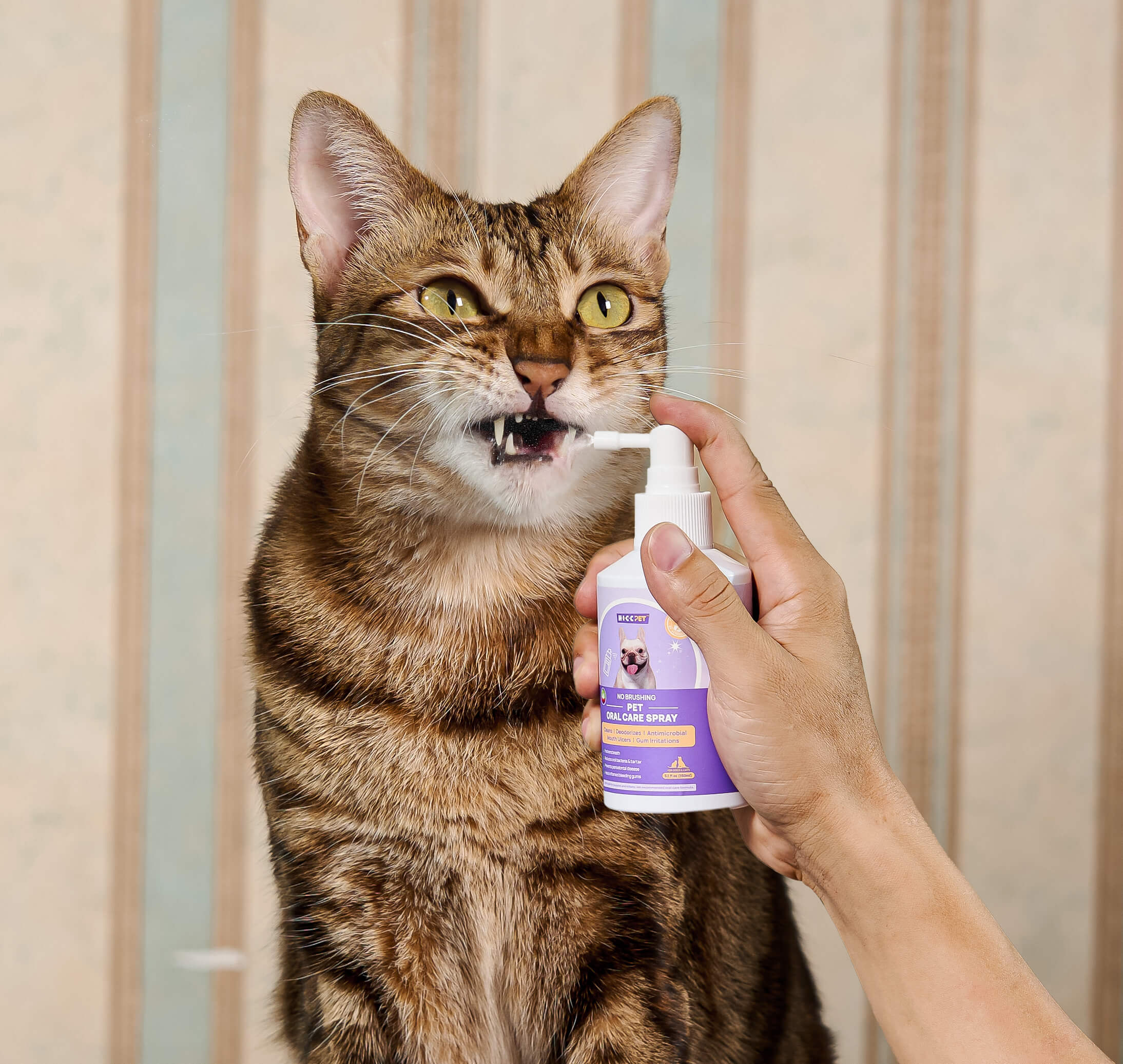 Cat Oral Care Dental Spray 5.1 fl oz