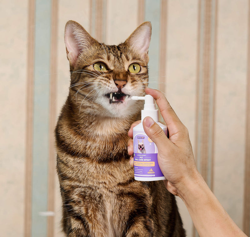 HICC Pet® Pet Oral Care Spray For Cats