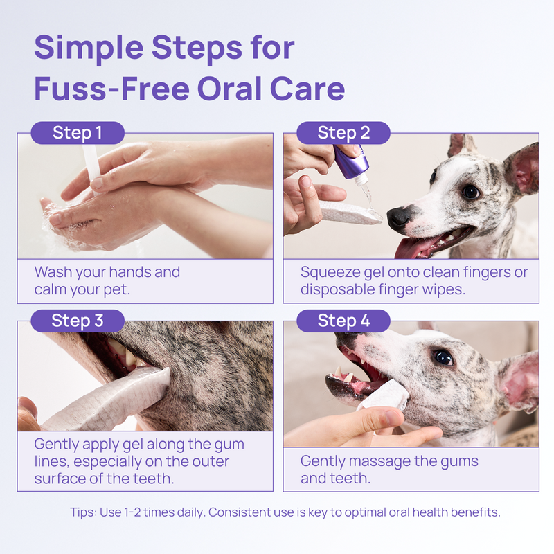 HICC Pet® Antimicrobial Pet  Oral Care Gel for Dogs & Cats