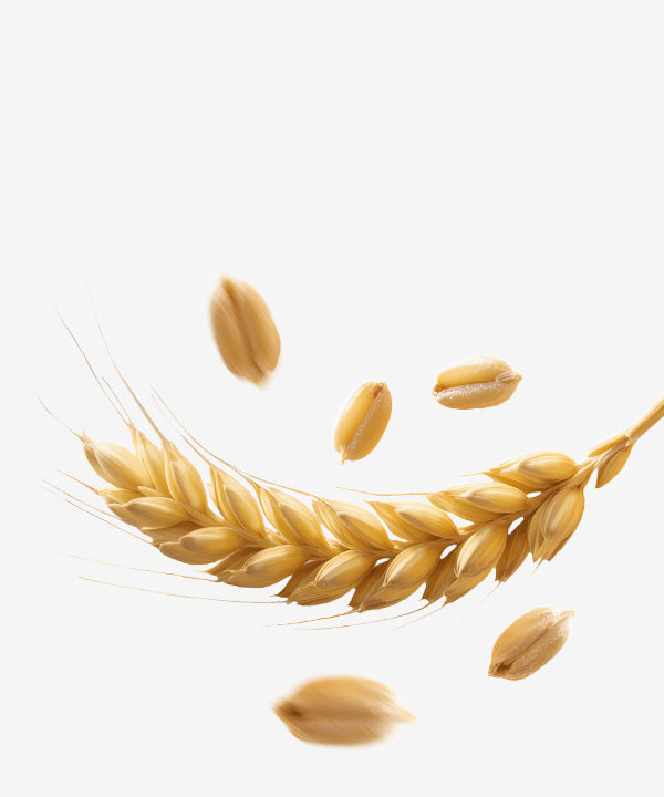 Triple Oat Complex
