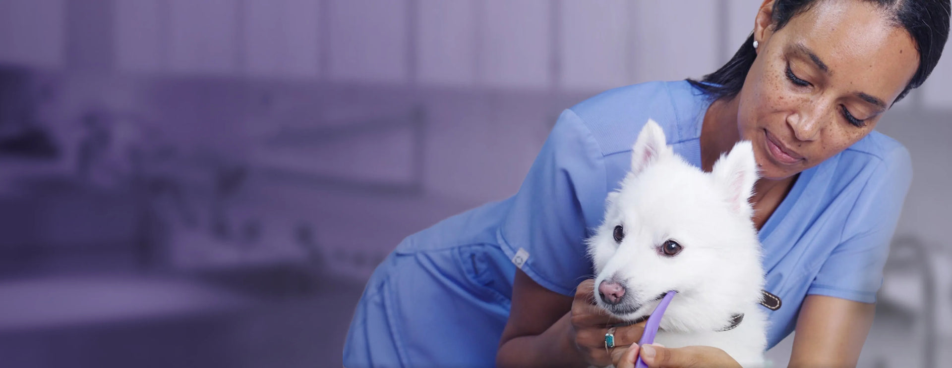 Recommended & Trusted[By Veterinarians]