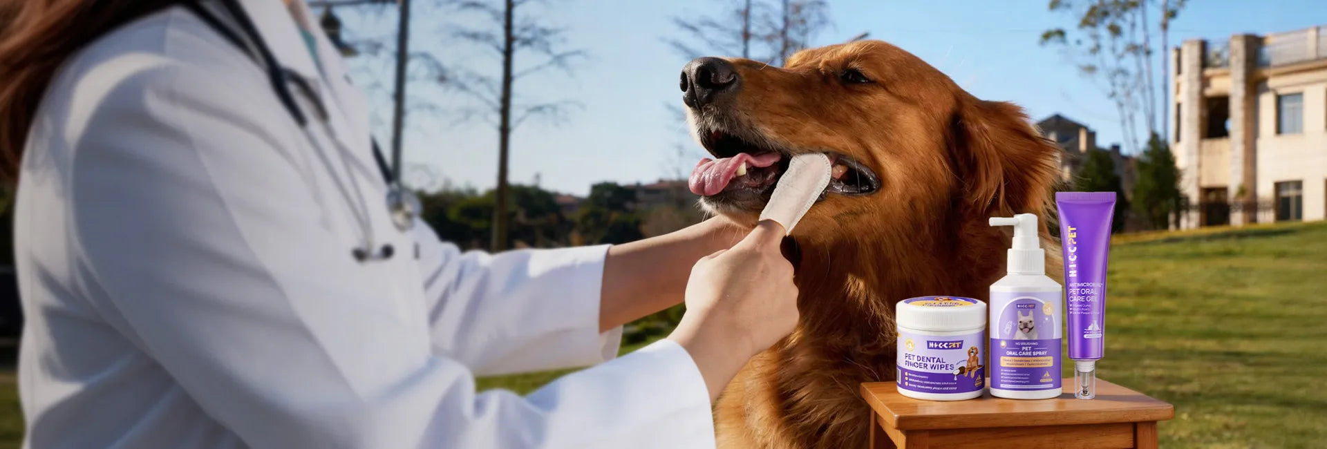 Be A Smile Guardian: [Protect Every Pet's Smile]