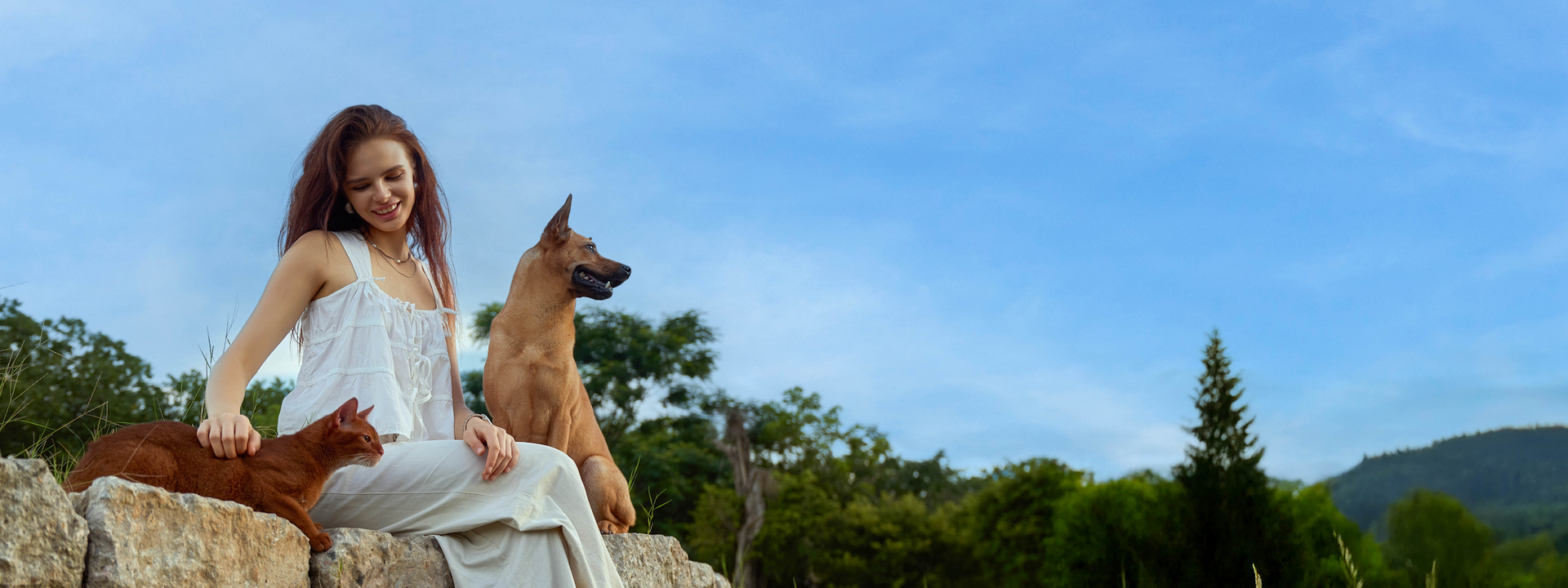 Enriching the Lives of Pets