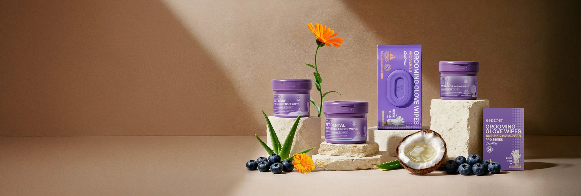 Meet the New Cleansing [Pro Series]