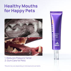 Pet Dental Care HICC PET