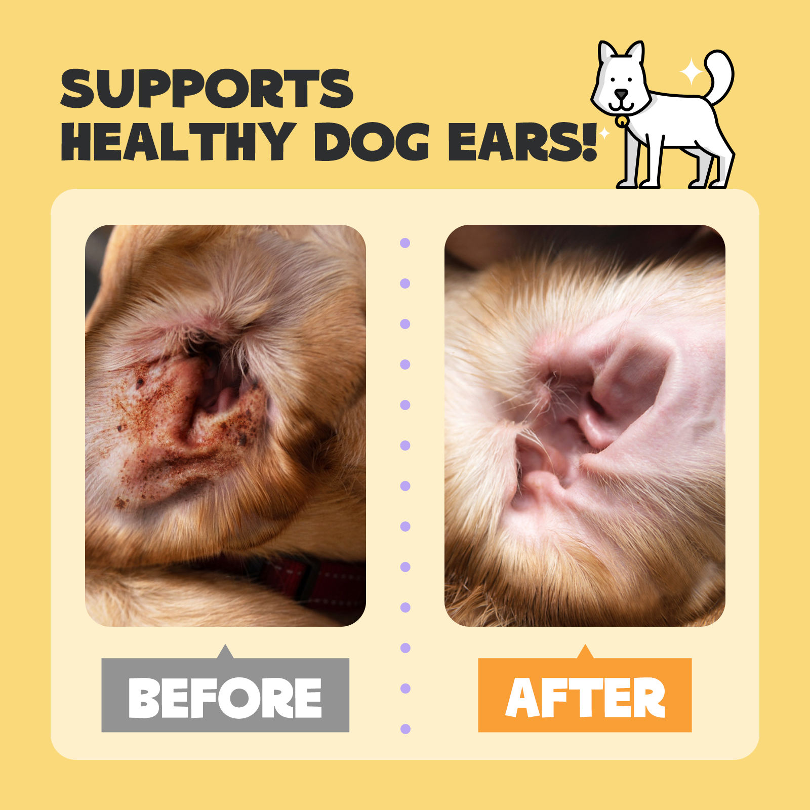 Coconut oil for dogs ears hot sale